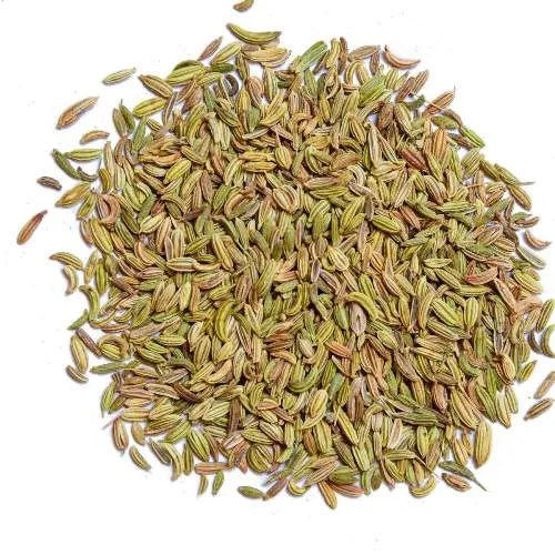 Fennel 5