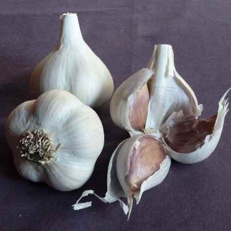 Garlic Essential Oil 3