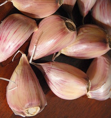 Garlic Essential Oil 2
