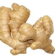 Ginger oil - Certified Organic 5