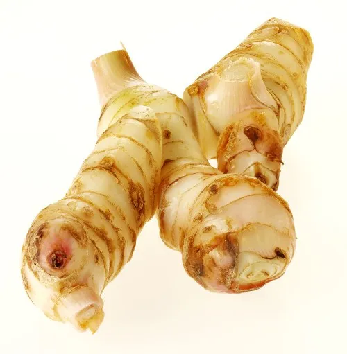 Kulanjan Oil 4