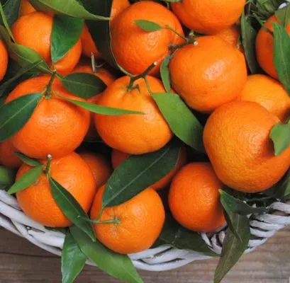 Mandarin Sicily Essential Oil 2