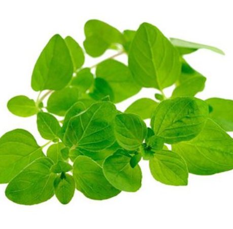 Marjoram Essential Oil Sweet 3