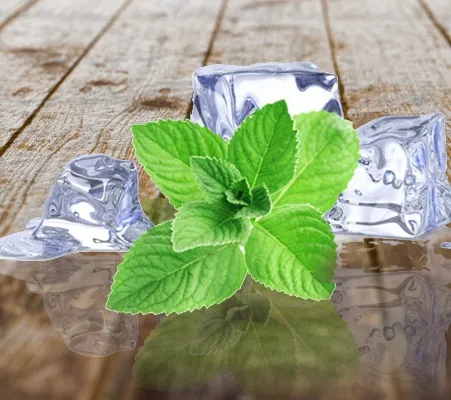 Mint Oil 4