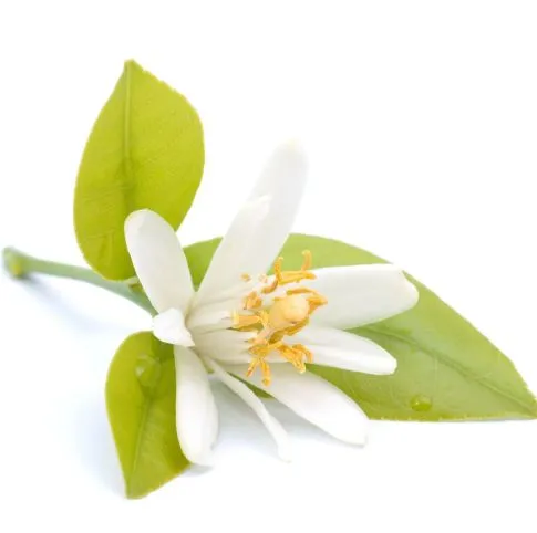 Neroli 3