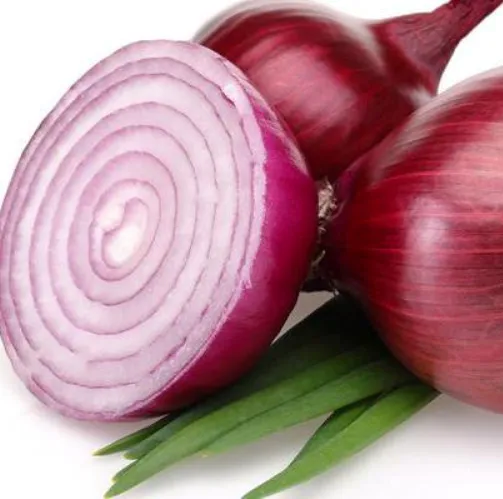 Onion Oil 5