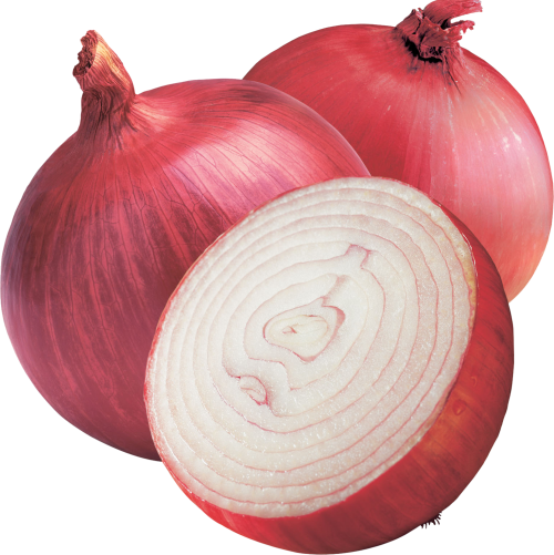 Onion Oil  2