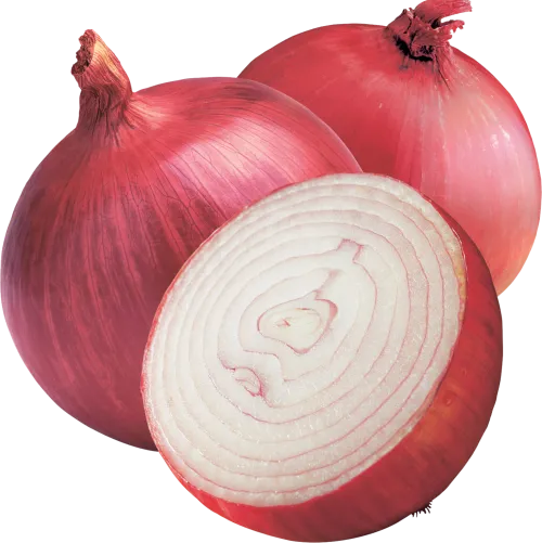 Onion Oil 2