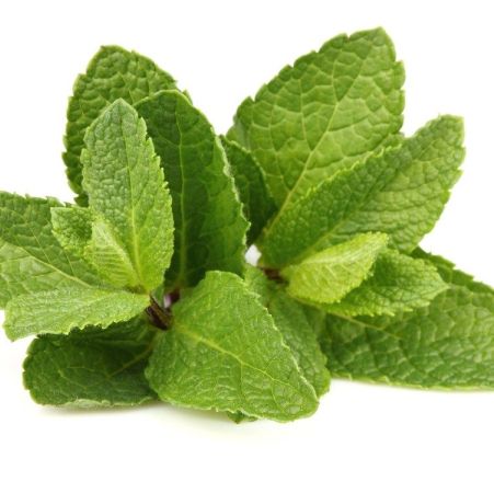 Peppermint Essential Oil Japanese 5