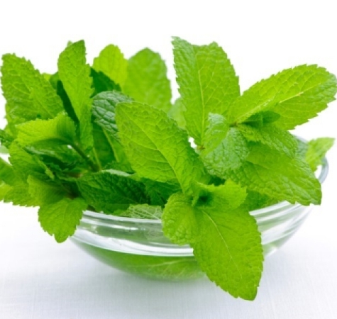 Peppermint Essential Oil Japanese 2