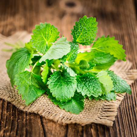 Spearmint India Essential Oil 3