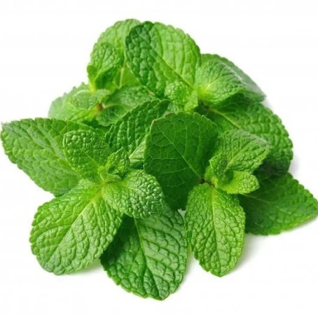 Spearmint India Essential Oil 5