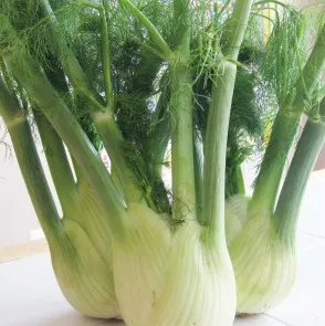 Fennel Sweet Essential Oil 4