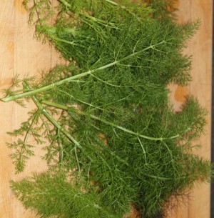 Fennel Sweet Essential Oil 5