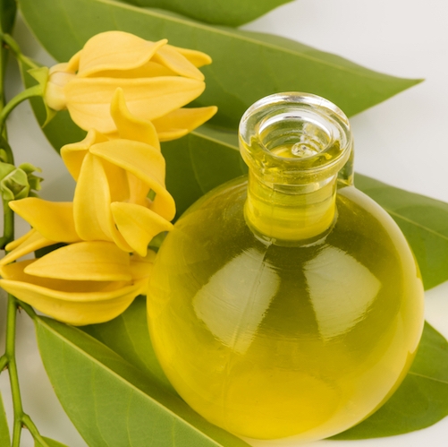 Ylang Ylang Essential Oil three 2