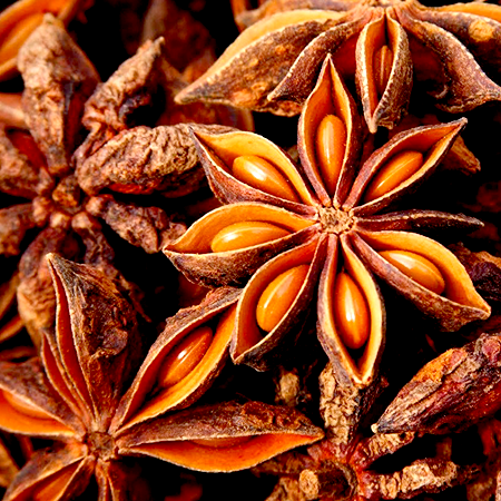 Anise Star Essential Oils