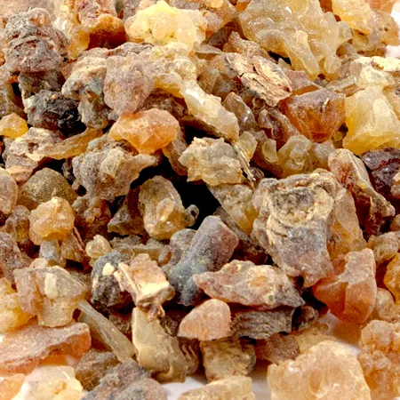Benzoin Essential Oils 1