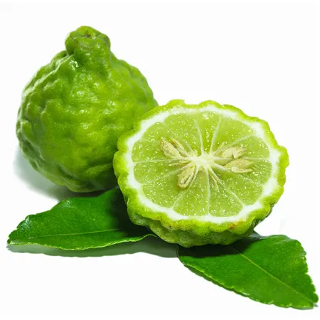 Bergamot Certified Organic Oil 1