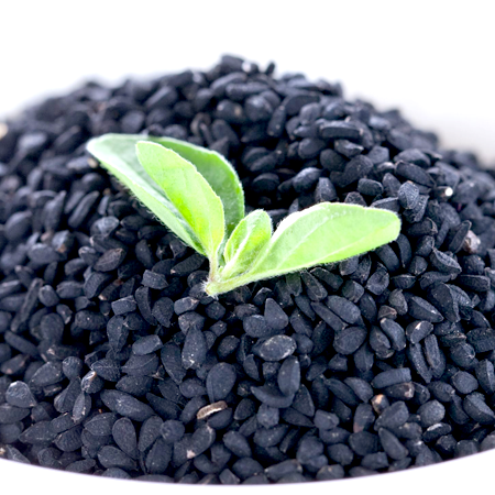 Black Cumin Seed Essential Oils 1