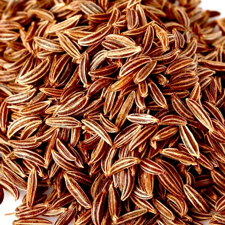 Caraway Essential Oil 1