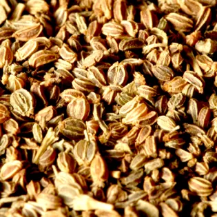 Celery-Seed-Essential-Oil.webp