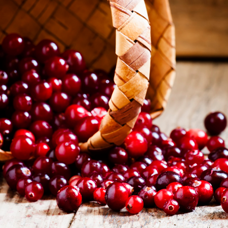 Cranberry Seed Oil  1