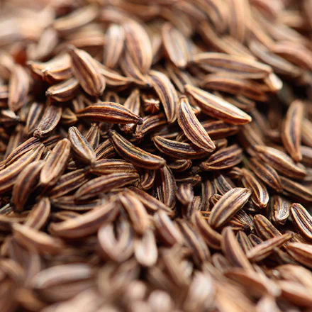 Cumin Essential Oil 1