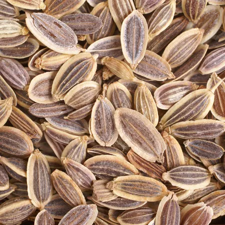 Dill Seed Essential Oil 1