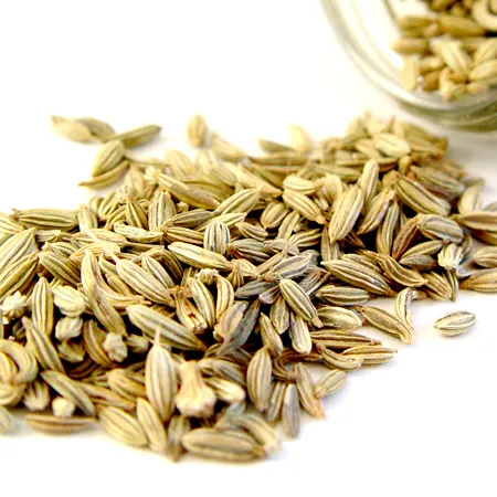 Fennel Bitter Essential Oil 1