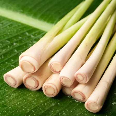 Ginger Grass Essential Oil 1
