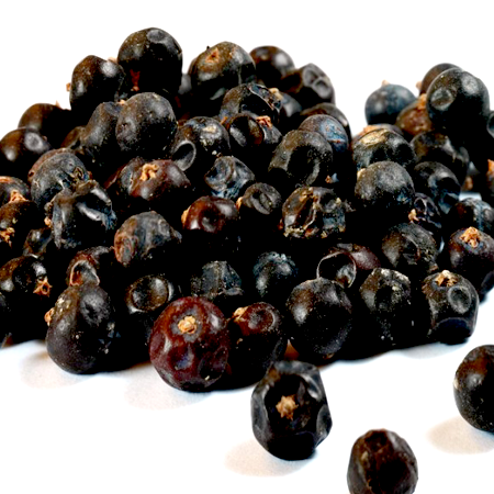 Juniper Berry Hungary Essential Oil