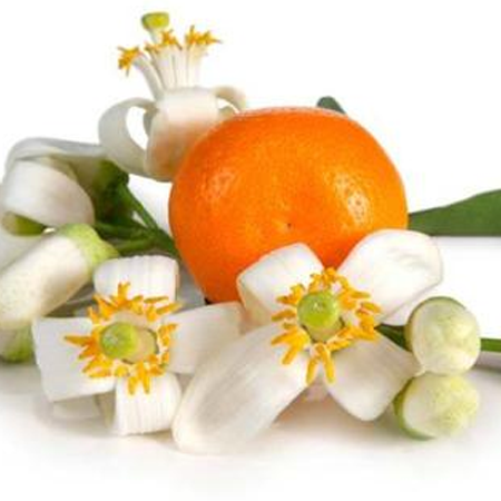 Neroli oil - Certified Organic 