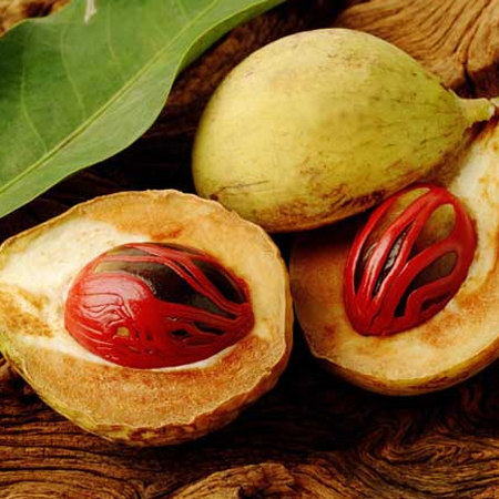 Nutmeg oil - Certified Organi