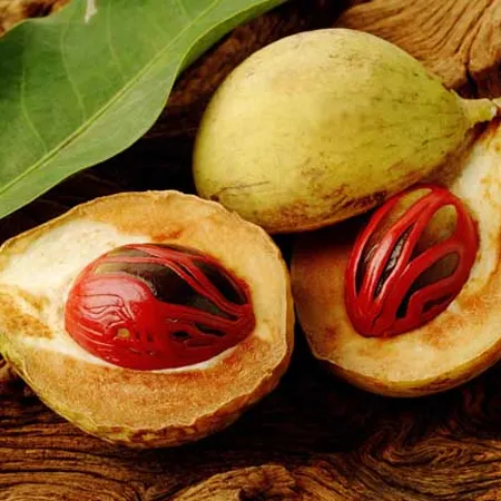 Nutmeg oil - Certified Organi 1