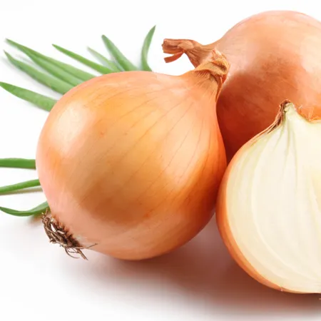Onion Oil 1
