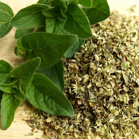 Oregano Organic Essential Oil