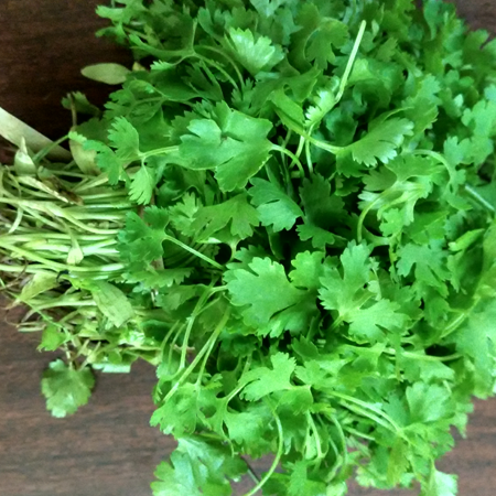 Parsley Essential Oil India