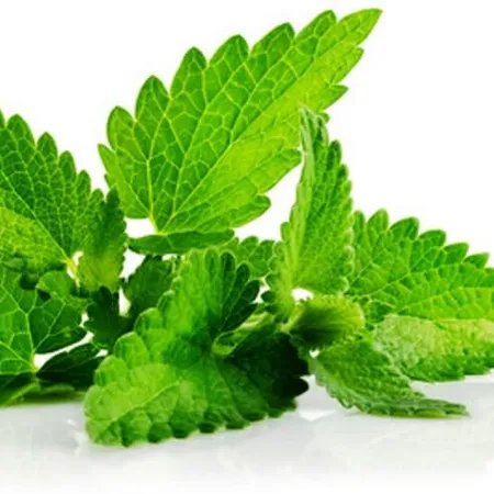 Patchouli oil - Certified Organic 1