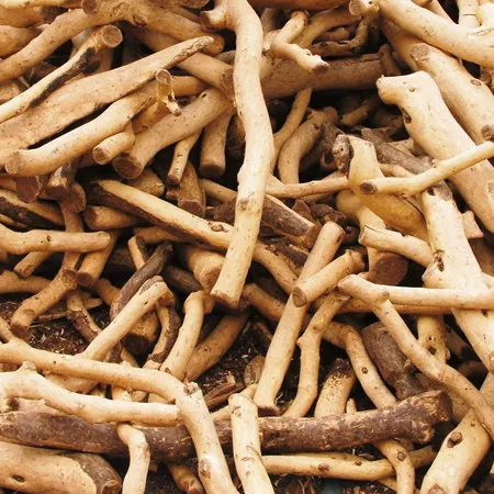 Sandalwood 1
