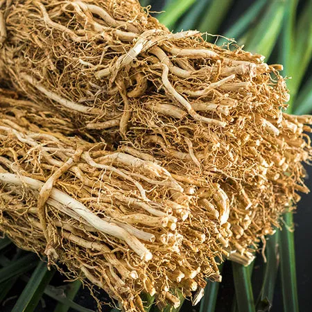 Vetiver oil - Certified Organic 1