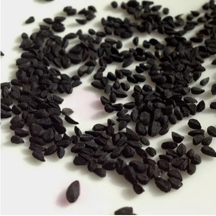 Black Cumin Seed Carrier Oil - Refined 1
