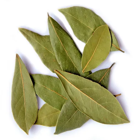 Bay Leaf 1