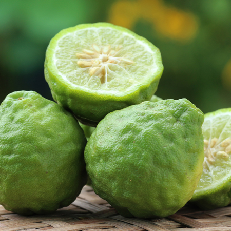 Bergamot 