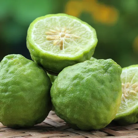 Bergamot 1