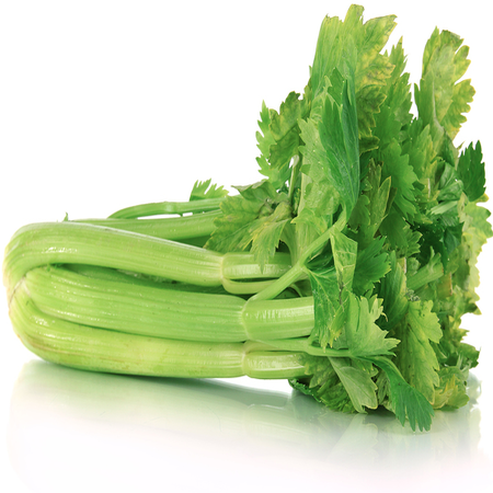 Celery  1