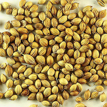 Coriander Seed Spice Oil  1
