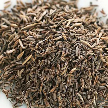 Calamus Oils 1