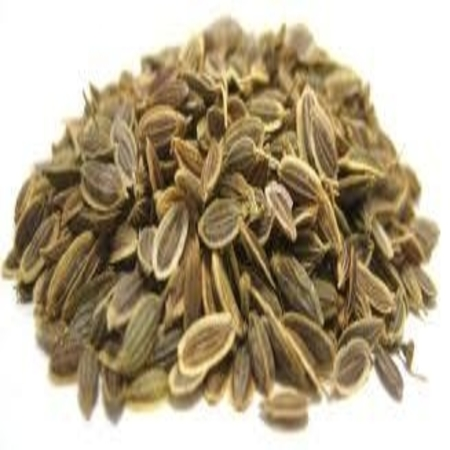 Dill Seed Oils 