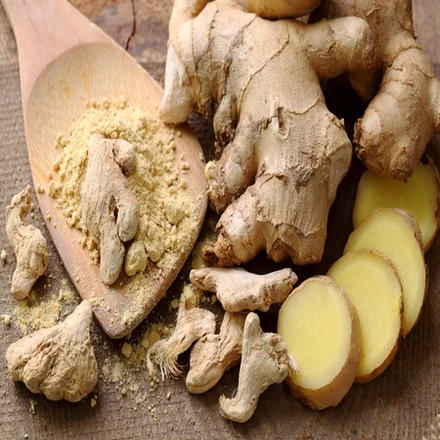 Ginger 1