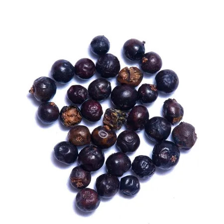 Juniper Berries 1